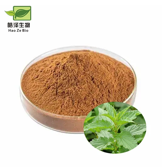 สารสกัดจากใบตำแยที่กัด