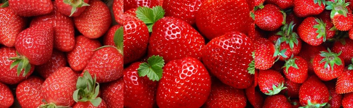 strawberry fruit powder2 strawberry fruit powder2