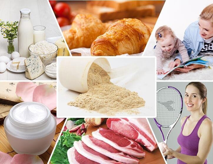 protein powdr (1)