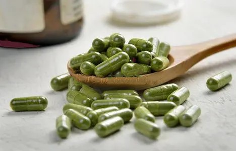 moringa extract powder
