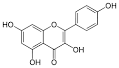 ด้วยขนาด 5.7 พันล้านดอลลาร์สหรัฐ Kaempferol กำลังกลายเป็นหุ้นที่มีศักยภาพรายต...