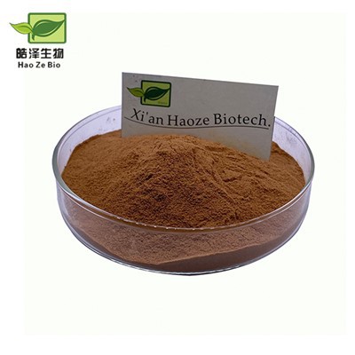 ผงสกัด Hoodia Gordonii